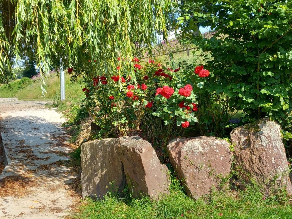 A La Memoire De Merlin & Spa Saint-Malon-sur-Mel Εξωτερικό φωτογραφία